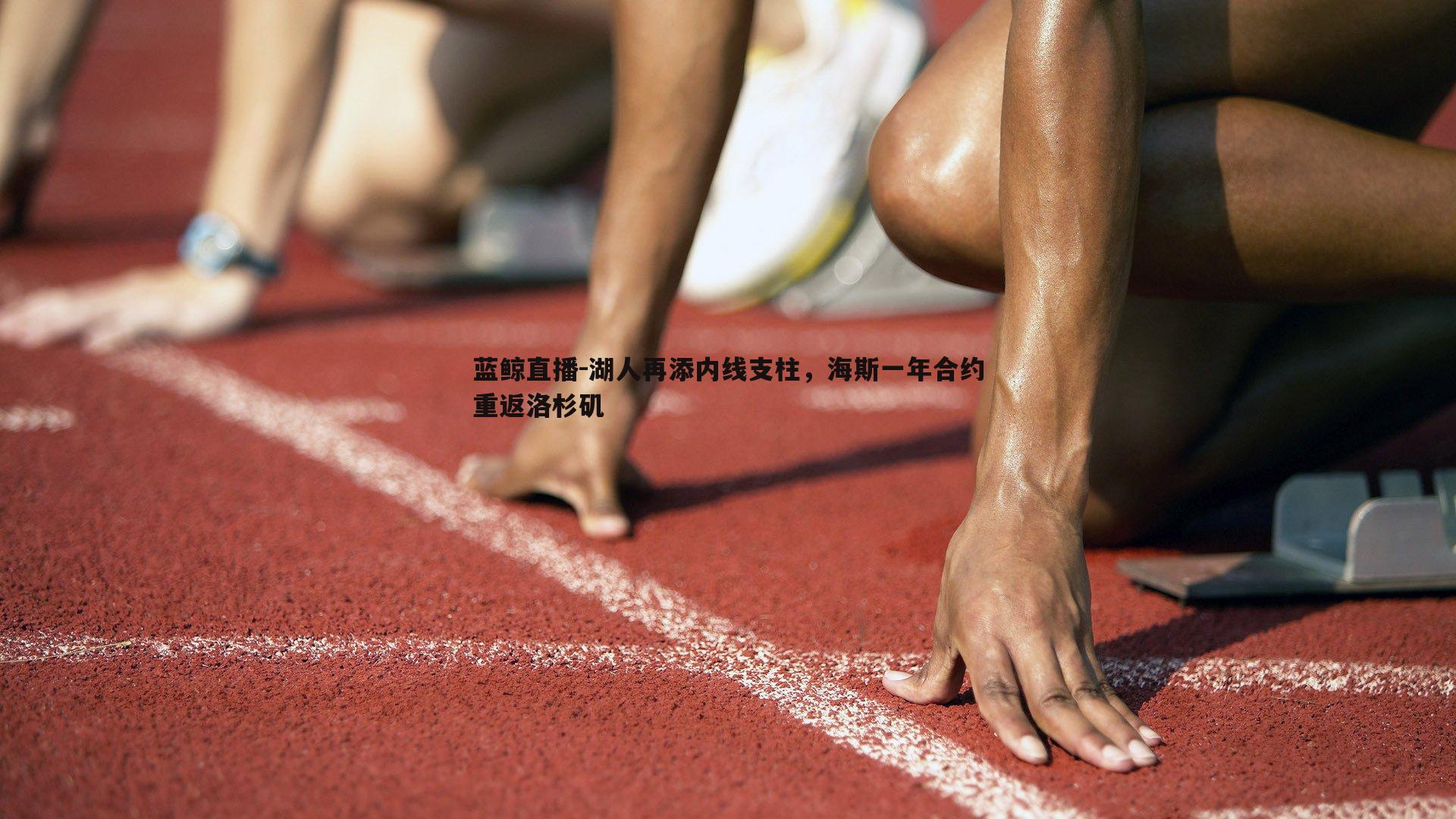 湖人再添内线支柱，海斯一年合约重返洛杉矶